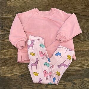 Zara Kid’s Sweater and Dog Leggings